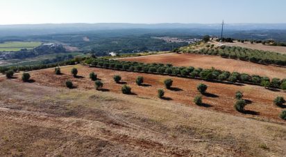 Terrain à bâtir à Abitureiras de 42 360 m²