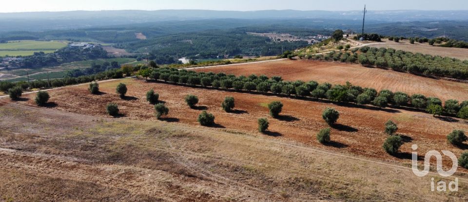 Building land in Abitureiras of 42,360 m²