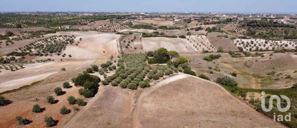 Building land in Abitureiras of 42,360 m²