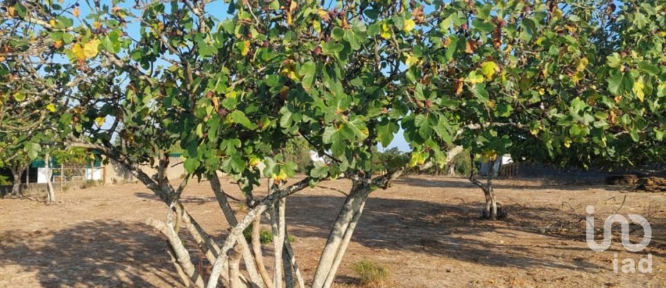 Terreno em Coruche, Fajarda e Erra de 6 250 m²