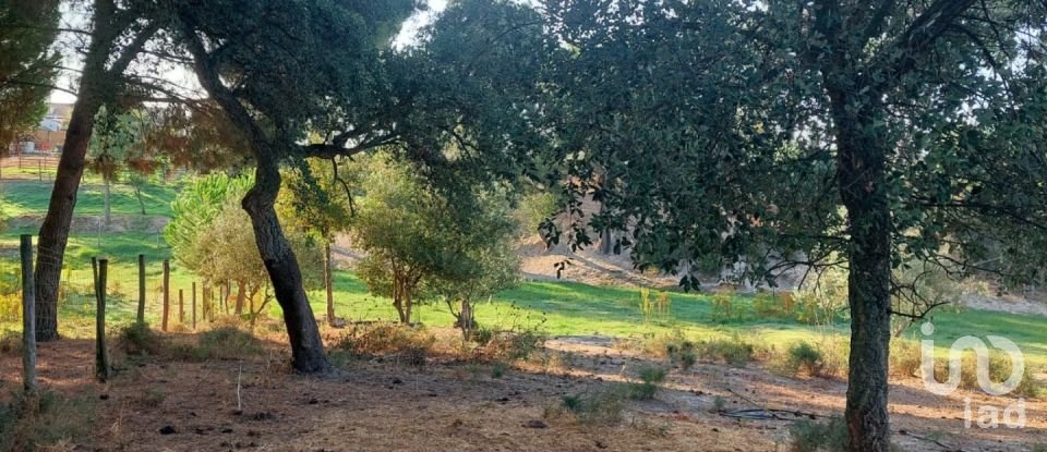 Land in Coruche, Fajarda e Erra of 6,250 m²