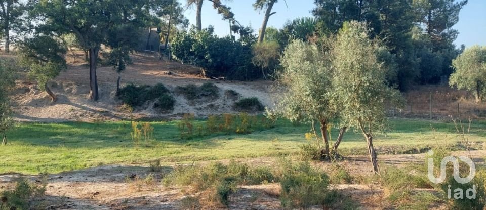 Land in Coruche, Fajarda e Erra of 6,250 m²