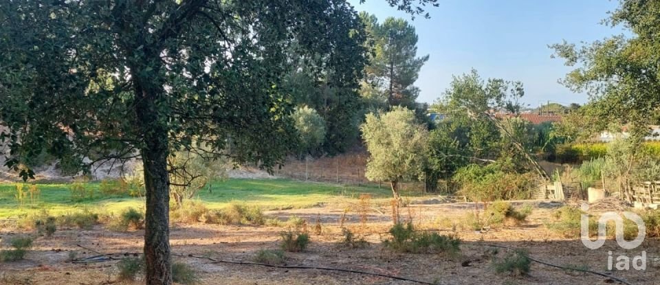 Land in Coruche, Fajarda e Erra of 6,250 m²