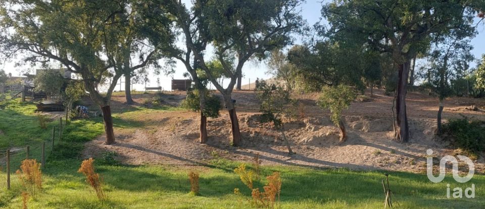 Land in Coruche, Fajarda e Erra of 6,250 m²