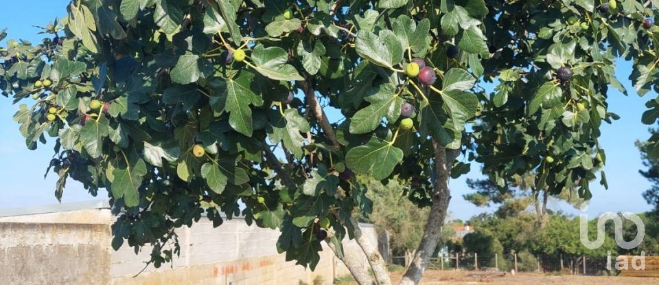 Terreno em Coruche, Fajarda e Erra de 6 250 m²