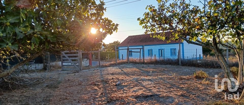 Terreno em Coruche, Fajarda e Erra de 6 250 m²