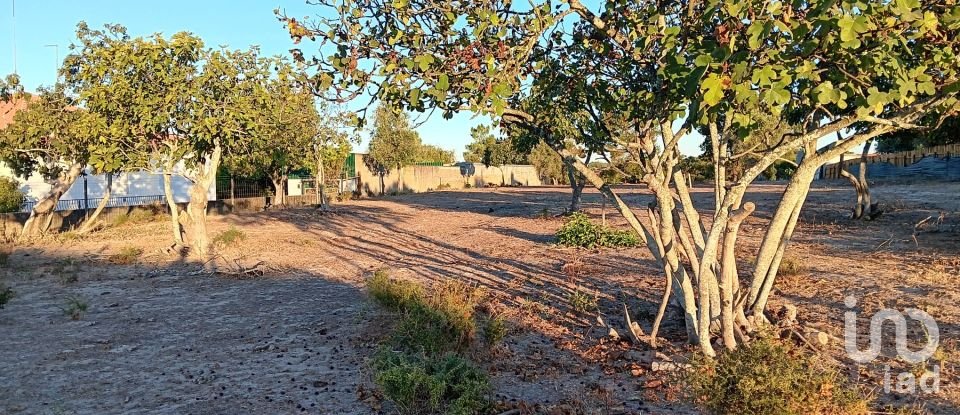 Terreno em Coruche, Fajarda e Erra de 6 250 m²