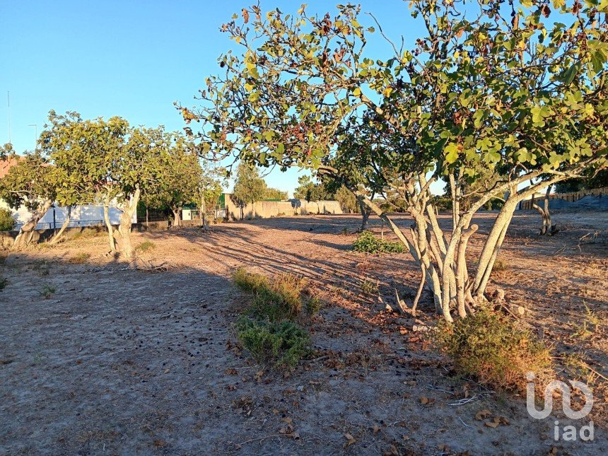 Terreno em Coruche, Fajarda e Erra de 6 250 m²