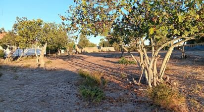 Building land in Coruche, Fajarda e Erra of 6,250 m²