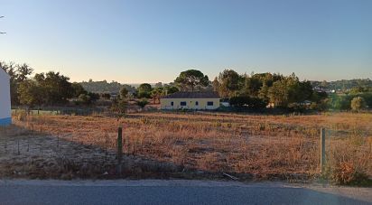 Land in Coruche, Fajarda e Erra of 6,250 m²