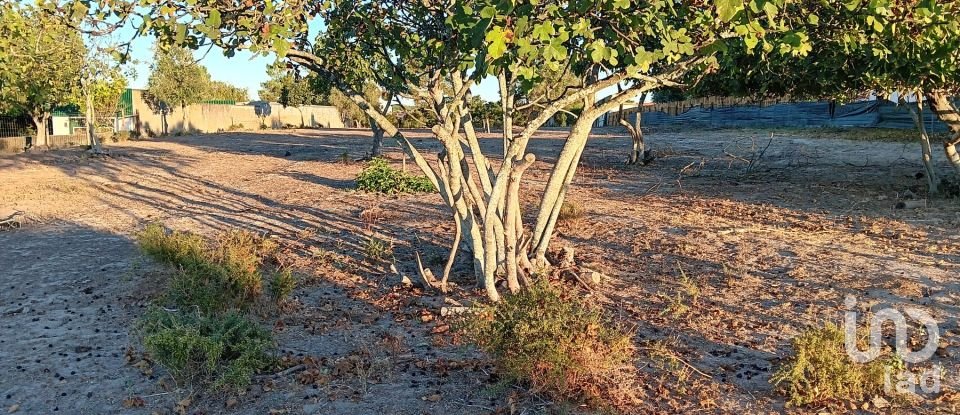 Terrain à Coruche, Fajarda e Erra de 6 250 m²