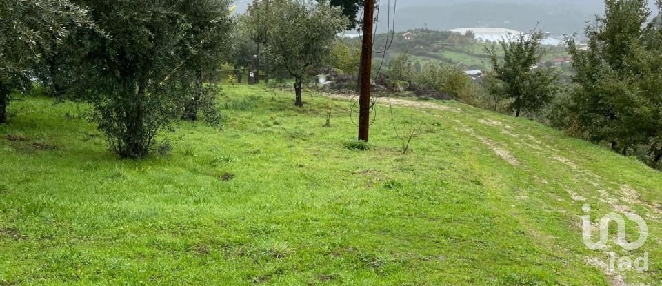 Terrain à Seia, São Romão e Lapa dos Dinheiros de 1 520 m²