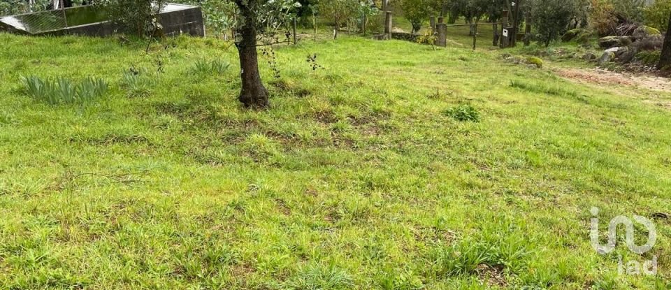 Terreno em Seia, São Romão e Lapa dos Dinheiros de 1 520 m²