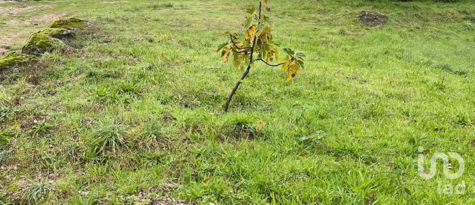 Land in Seia, São Romão e Lapa dos Dinheiros of 1,520 m²