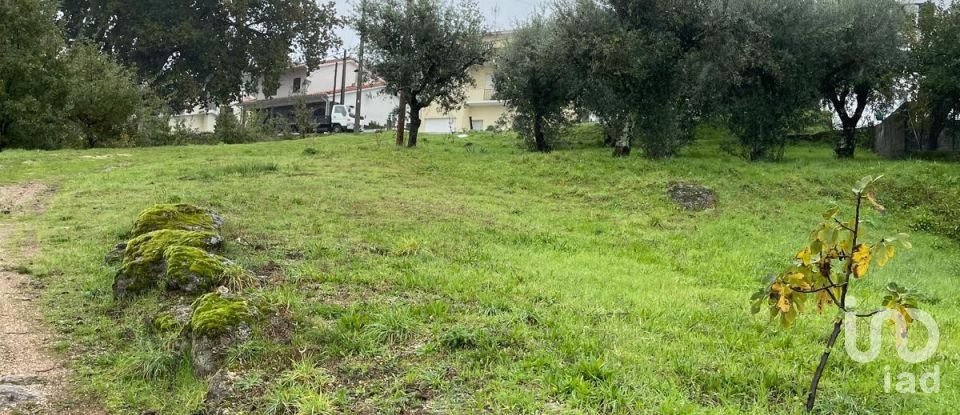 Terreno em Seia, São Romão e Lapa dos Dinheiros de 1 520 m²