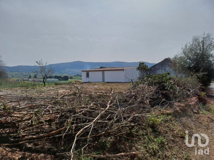 Casa de aldeia T0 em Lamas e Cercal de 52 m²