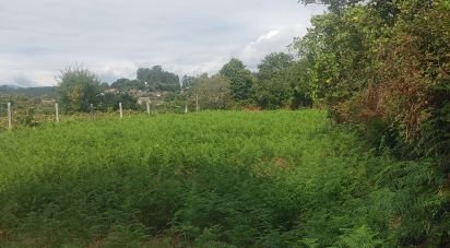 Terreno em Sapardos de 10 400 m²