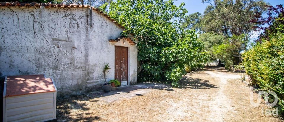 Terreno em Fernão Ferro de 10 174 m²