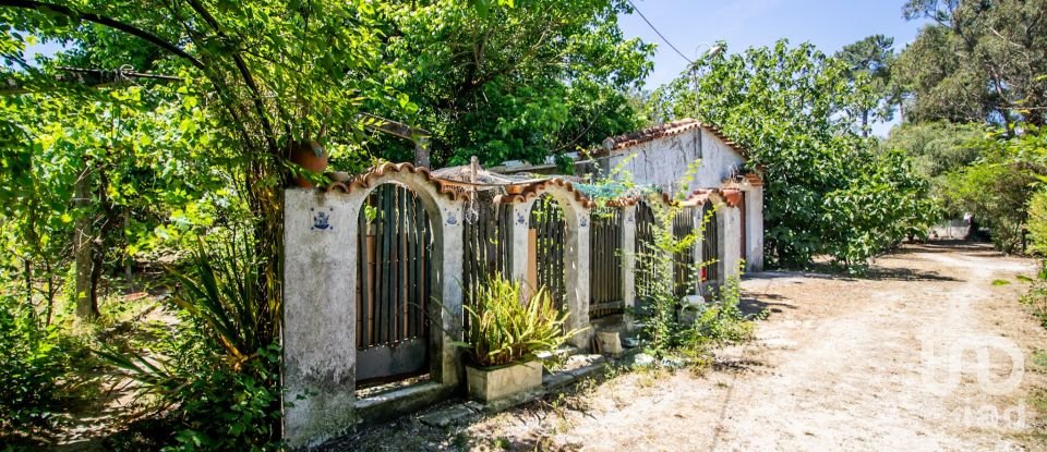 Terreno em Fernão Ferro de 10 174 m²