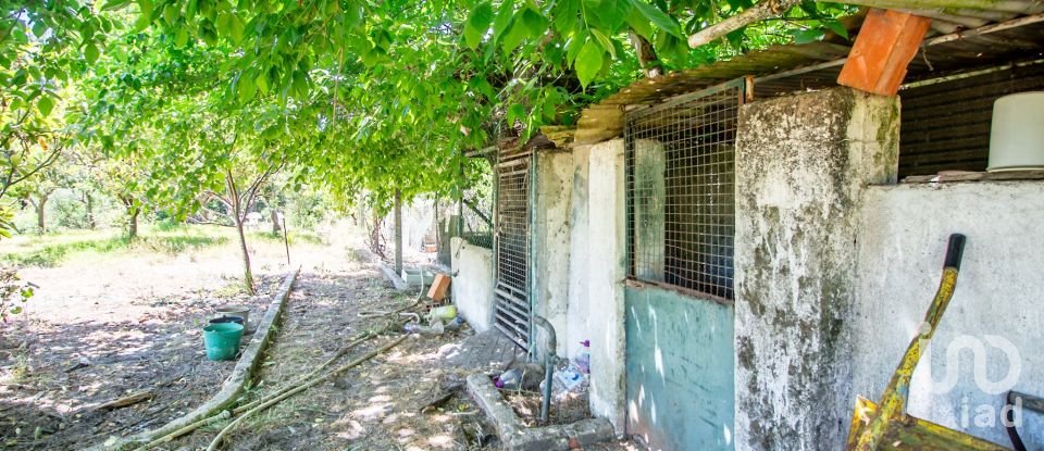 Terreno em Fernão Ferro de 10 174 m²