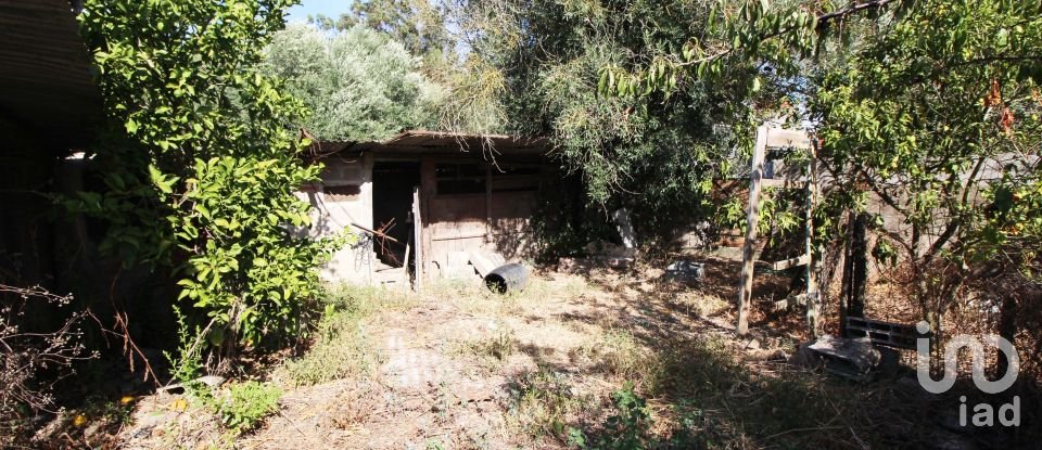 Terreno em São Pedro de Tomar de 1 365 m²