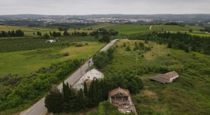 Terrain à Carvalhal de 453 m²