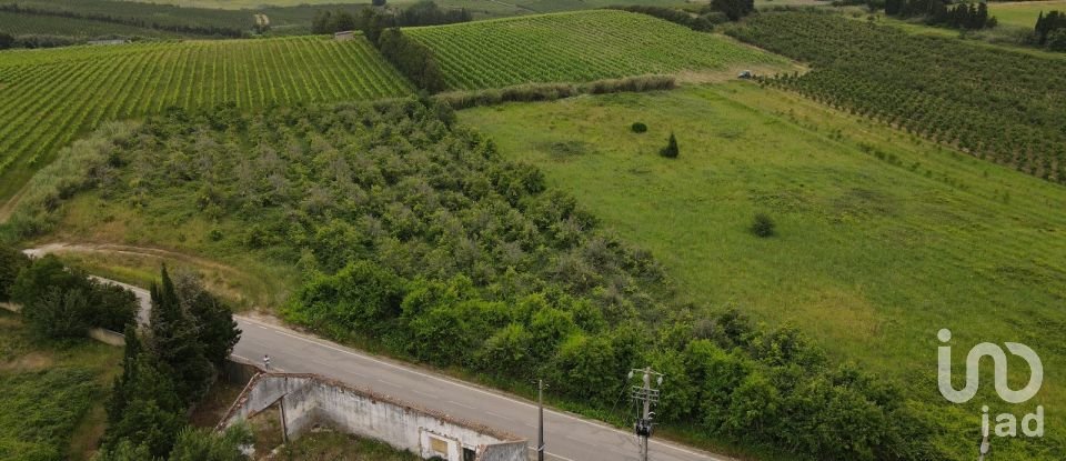 Terrain à Carvalhal de 453 m²