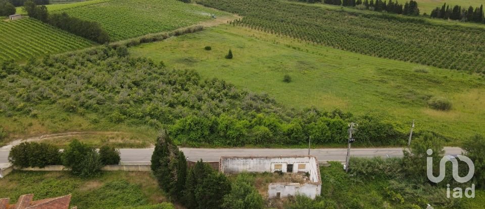 Terrain à Carvalhal de 453 m²