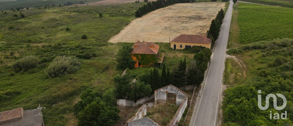 Terrain à Carvalhal de 453 m²