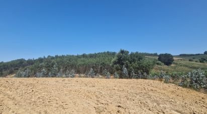 Terreno em Azueira e Sobral da Abelheira de 26 562 m²