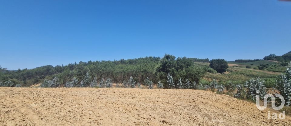 Terrain à Azueira e Sobral da Abelheira de 26 562 m²