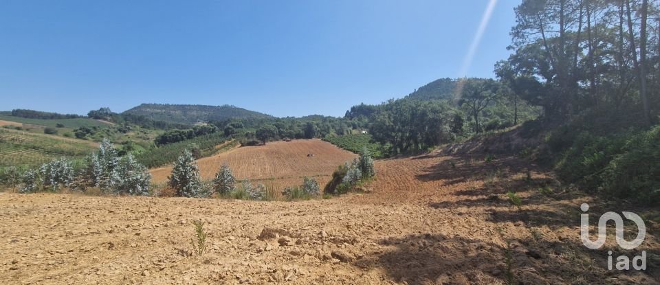 Terrain à Azueira e Sobral da Abelheira de 26 562 m²