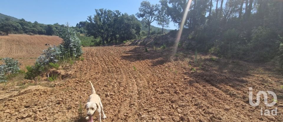 Terreno em Azueira e Sobral da Abelheira de 26 562 m²