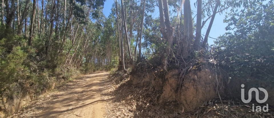 Terrain à Azueira e Sobral da Abelheira de 26 562 m²