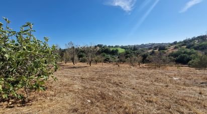 Maison de campagne T4 à Estômbar e Parchal de 70 m²