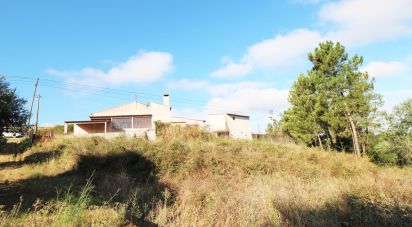 Village house T3 in Serra e Junceira of 57 m²