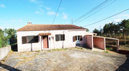 Village house T3 in Serra e Junceira of 57 m²