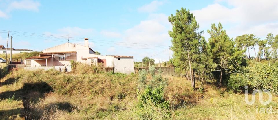 Casa de aldeia T3 em Serra e Junceira de 57 m²