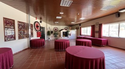 Hotel-restaurant in Margem of 8,000 m²