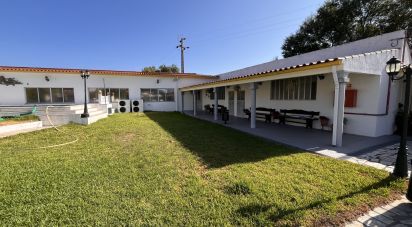 Hôtel-restaurant à Margem de 8 000 m²