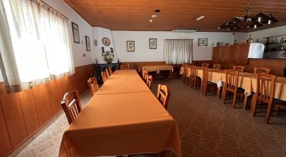 Hotel-restaurant in Margem of 8,000 m²