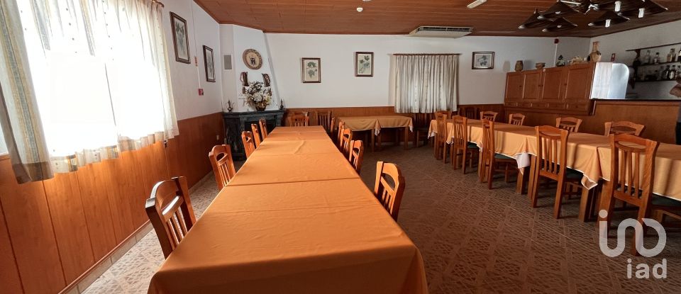 Hotel / Restaurante em Margem de 8 000 m²