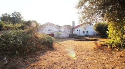 Village house T3 in São Pedro de Tomar of 80 m²