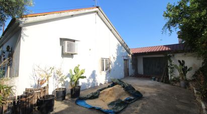 Casa de aldeia T3 em São Pedro de Tomar de 80 m²