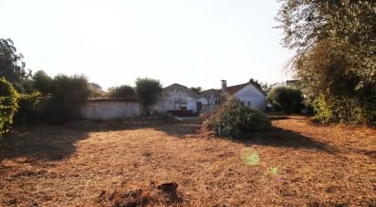 Maison de village T3 à São Pedro de Tomar de 80 m²