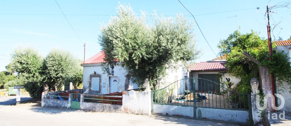 Village house T3 in São Pedro de Tomar of 80 m²