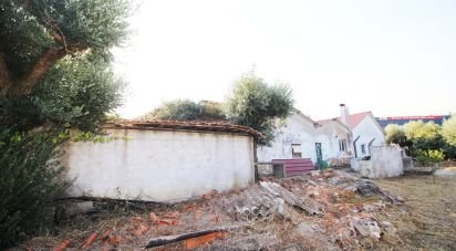 Maison de village T3 à São Pedro de Tomar de 80 m²