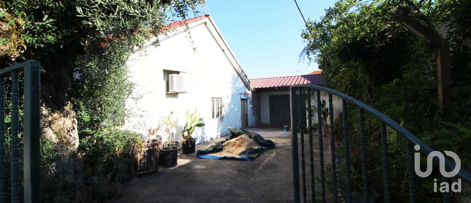 Village house T3 in São Pedro de Tomar of 80 m²