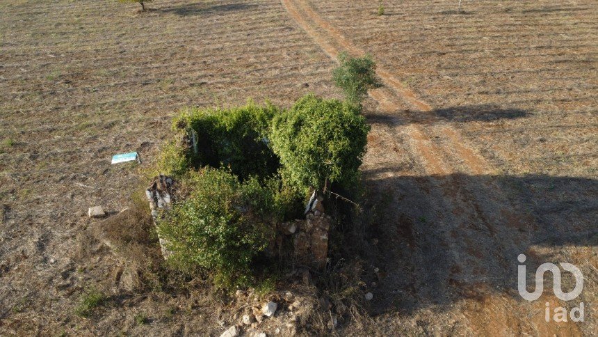 Terreno para construção em Areias e Pias de 8 120 m²