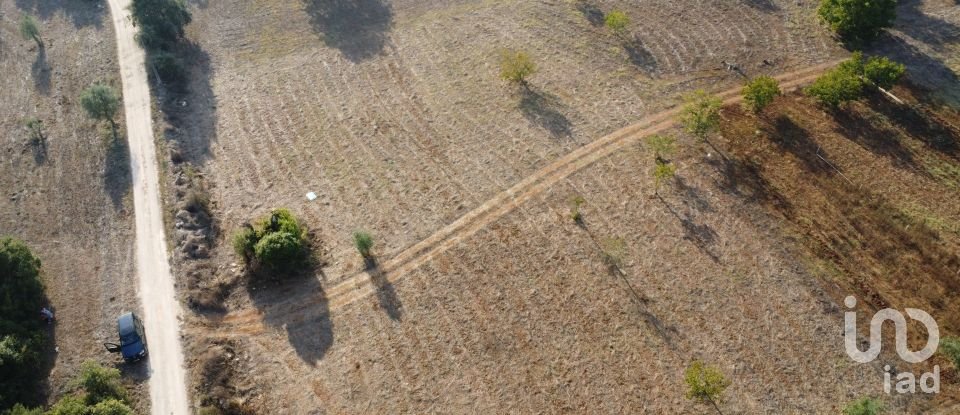 Terrain à bâtir à Areias e Pias de 8 120 m²